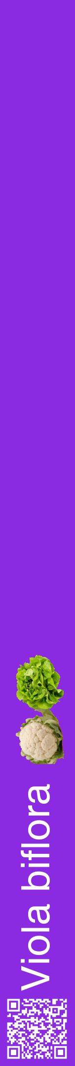 Étiquette de : Viola biflora - format a - style blanche49hel avec qrcode et comestibilité simplifiée