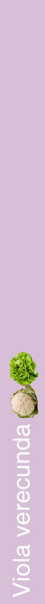 Étiquette de : Viola verecunda - format a - style blanche54hel avec comestibilité simplifiée