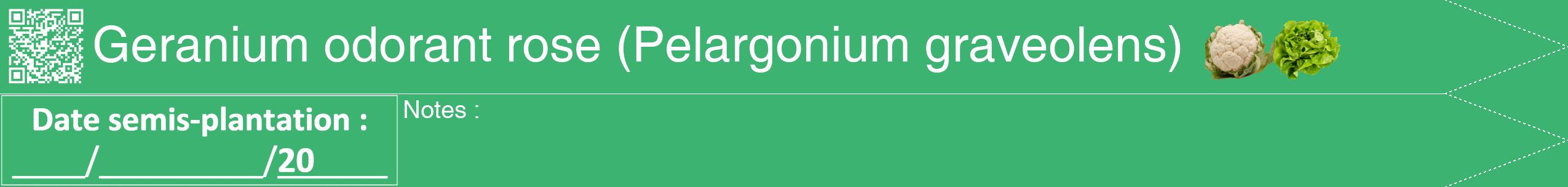 Étiquette de : Pelargonium graveolens - format b - style blanche12hel avec qrcode et comestibilité simplifiée