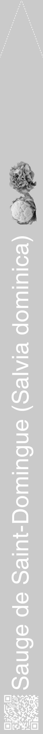 Étiquette de : Salvia dominica - format b - style blanche21hel avec qrcode et comestibilité simplifiée - position verticale
