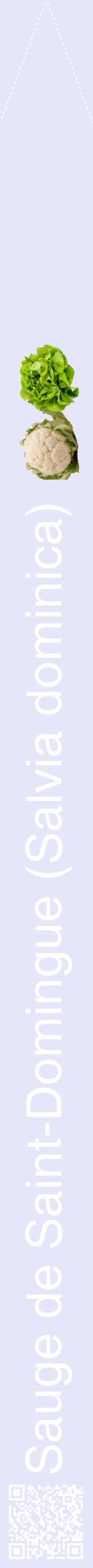 Étiquette de : Salvia dominica - format b - style blanche55hel avec qrcode et comestibilité simplifiée