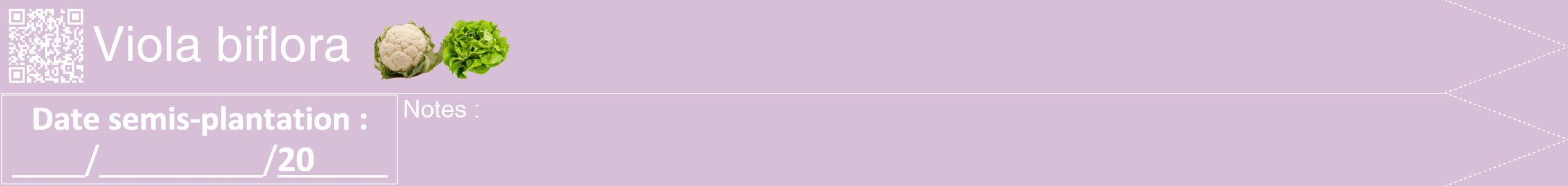 Étiquette de : Viola biflora - format b - style blanche54hel avec qrcode et comestibilité simplifiée
