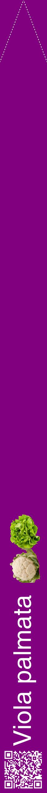 Étiquette de : Viola palmata - format b - style blanche46hel avec qrcode et comestibilité simplifiée