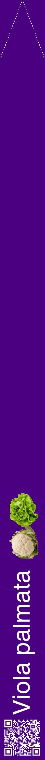 Étiquette de : Viola palmata - format b - style blanche47hel avec qrcode et comestibilité simplifiée