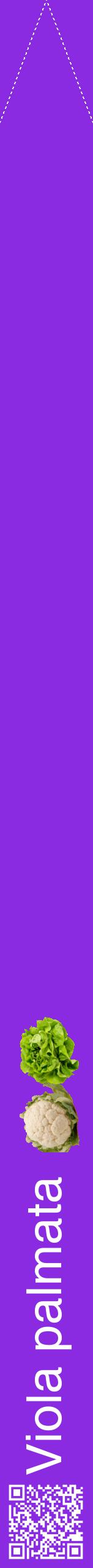 Étiquette de : Viola palmata - format b - style blanche49hel avec qrcode et comestibilité simplifiée
