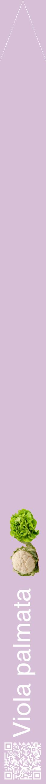 Étiquette de : Viola palmata - format b - style blanche54hel avec qrcode et comestibilité simplifiée