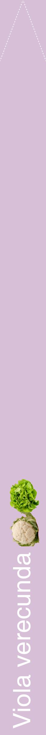 Étiquette de : Viola verecunda - format b - style blanche54hel avec comestibilité simplifiée