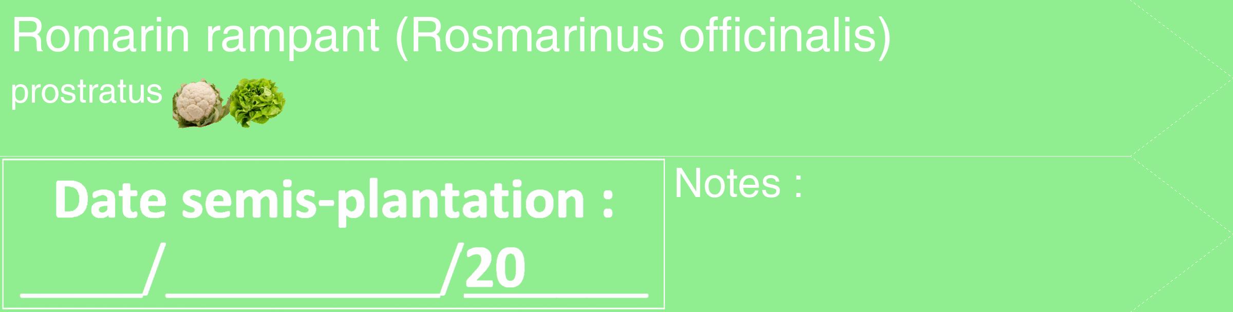 Étiquette de : Rosmarinus officinalis prostratus - format c - style blanche15_simple_simplehel avec comestibilité simplifiée