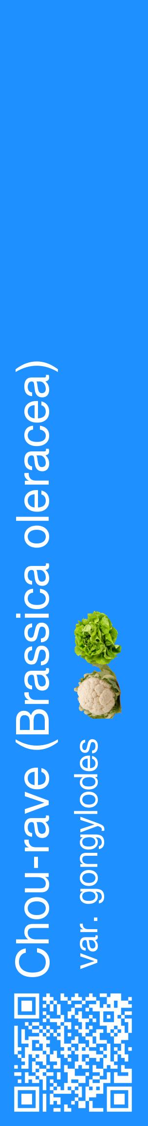 Étiquette de : Brassica oleracea var. gongylodes - format c - style blanche3_basique_basiquehel avec qrcode et comestibilité simplifiée - position verticale