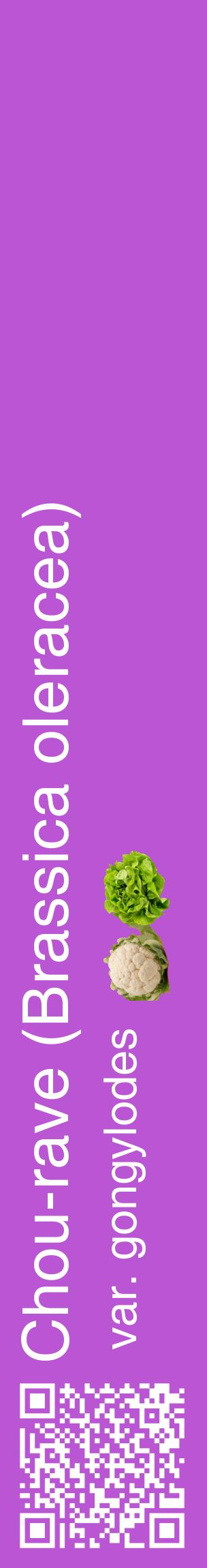 Étiquette de : Brassica oleracea var. gongylodes - format c - style blanche50_basiquehel avec qrcode et comestibilité simplifiée