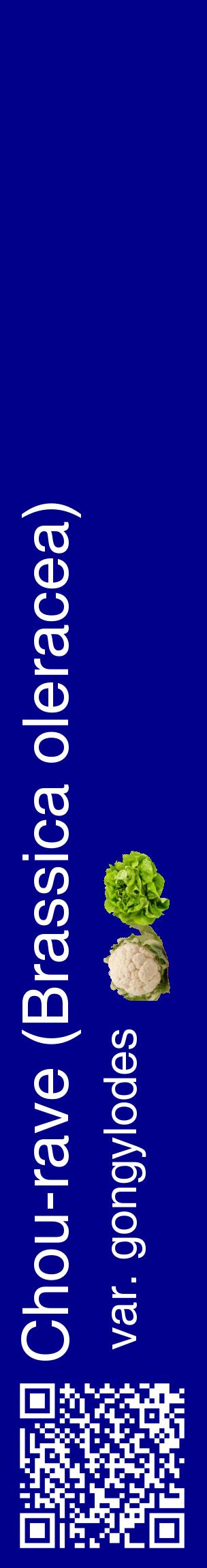Étiquette de : Brassica oleracea var. gongylodes - format c - style blanche7_basiquehel avec qrcode et comestibilité simplifiée