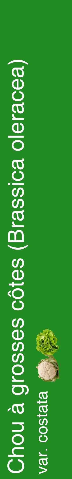 Étiquette de : Brassica oleracea var. costata - format c - style blanche10_basiquehel avec comestibilité simplifiée