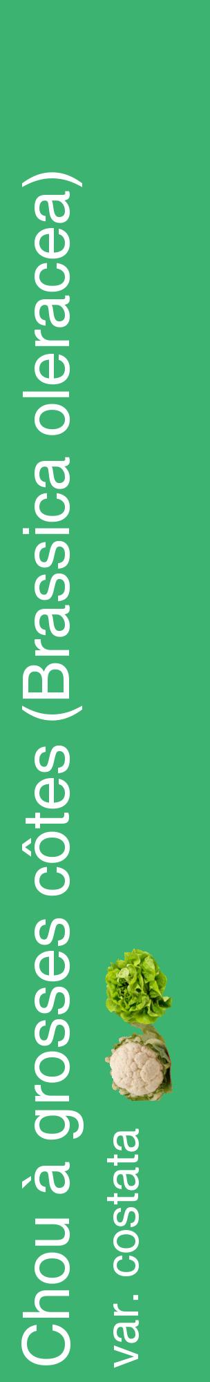 Étiquette de : Brassica oleracea var. costata - format c - style blanche12_basiquehel avec comestibilité simplifiée
