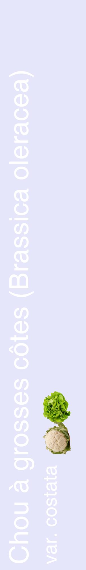 Étiquette de : Brassica oleracea var. costata - format c - style blanche55_basiquehel avec comestibilité simplifiée