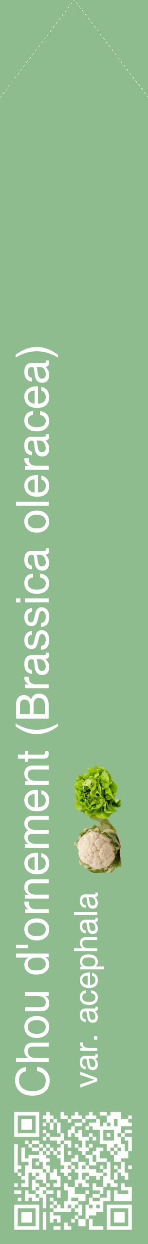 Étiquette de : Brassica oleracea var. acephala - format c - style blanche13_simplehel avec qrcode et comestibilité simplifiée