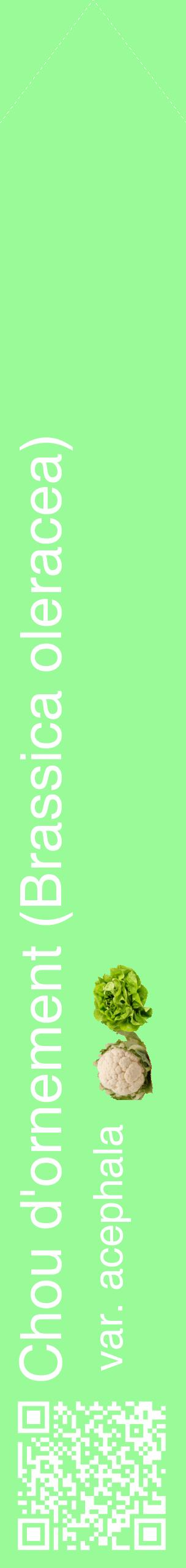 Étiquette de : Brassica oleracea var. acephala - format c - style blanche14_simplehel avec qrcode et comestibilité simplifiée