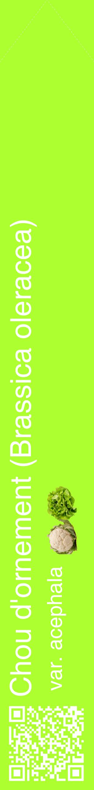 Étiquette de : Brassica oleracea var. acephala - format c - style blanche17_simplehel avec qrcode et comestibilité simplifiée
