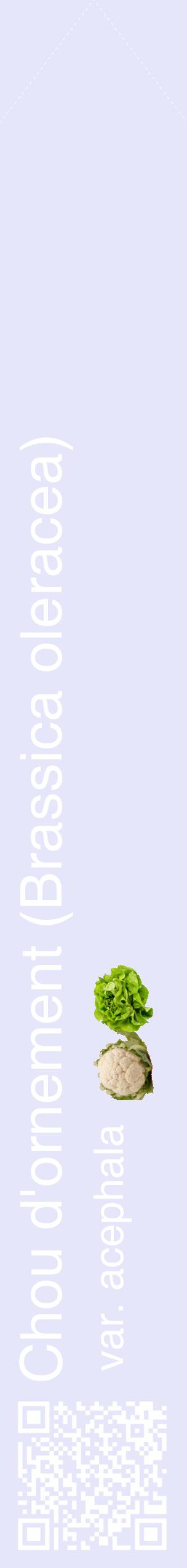 Étiquette de : Brassica oleracea var. acephala - format c - style blanche55_simplehel avec qrcode et comestibilité simplifiée