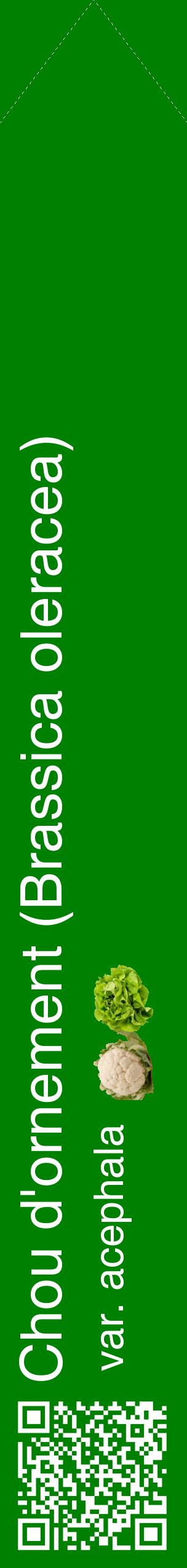 Étiquette de : Brassica oleracea var. acephala - format c - style blanche9_simplehel avec qrcode et comestibilité simplifiée