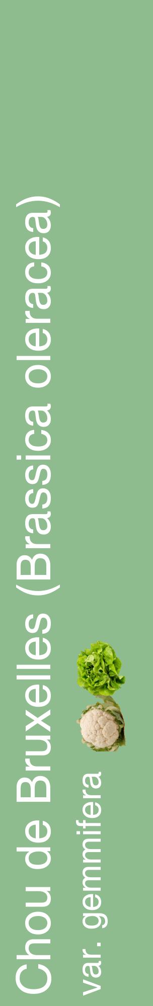Étiquette de : Brassica oleracea var. gemmifera - format c - style blanche13_basiquehel avec comestibilité simplifiée