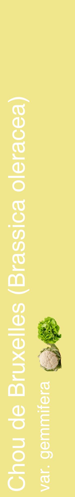 Étiquette de : Brassica oleracea var. gemmifera - format c - style blanche20_basiquehel avec comestibilité simplifiée