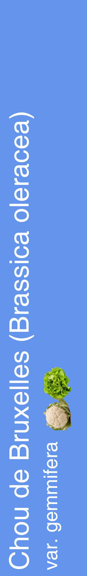 Étiquette de : Brassica oleracea var. gemmifera - format c - style blanche4_basiquehel avec comestibilité simplifiée