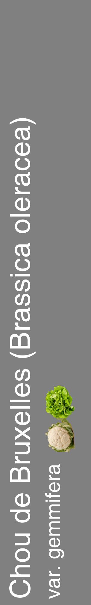 Étiquette de : Brassica oleracea var. gemmifera - format c - style blanche57_basiquehel avec comestibilité simplifiée
