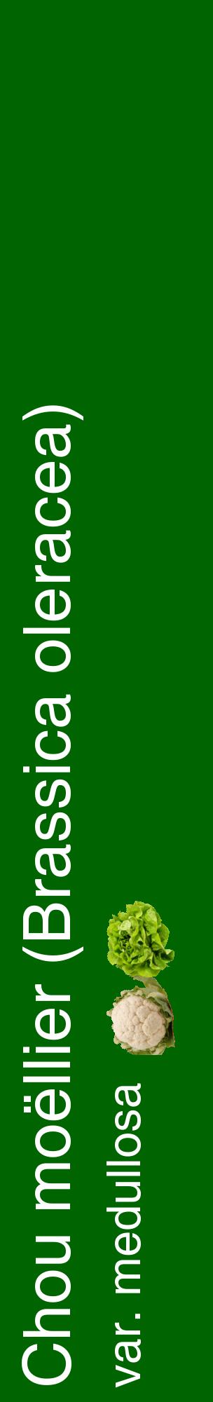 Étiquette de : Brassica oleracea var. medullosa - format c - style blanche8_basiquehel avec comestibilité simplifiée