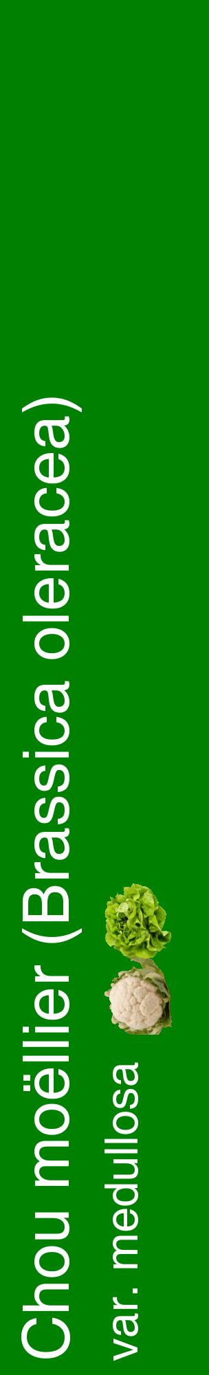 Étiquette de : Brassica oleracea var. medullosa - format c - style blanche9_basiquehel avec comestibilité simplifiée