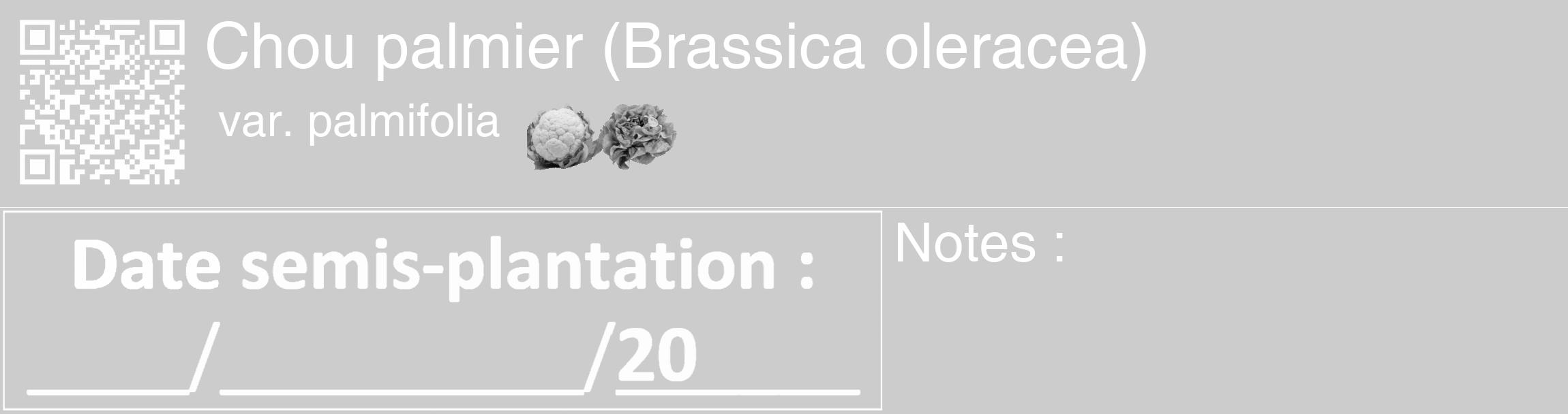 Étiquette de : Brassica oleracea var. palmifolia - format c - style blanche0_basique_basiquehel avec qrcode et comestibilité simplifiée