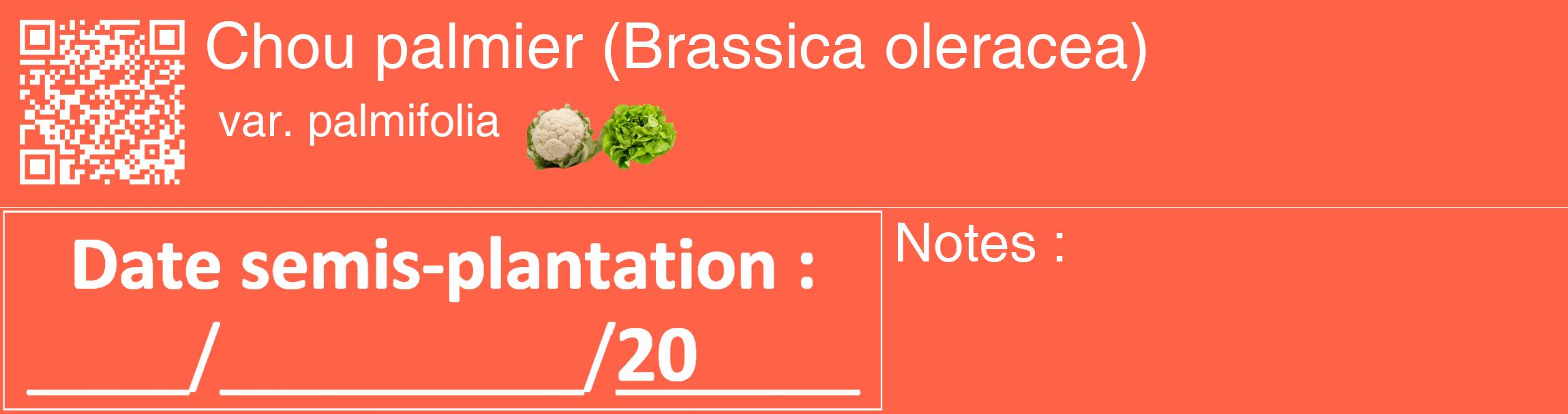 Étiquette de : Brassica oleracea var. palmifolia - format c - style blanche25_basique_basiquehel avec qrcode et comestibilité simplifiée