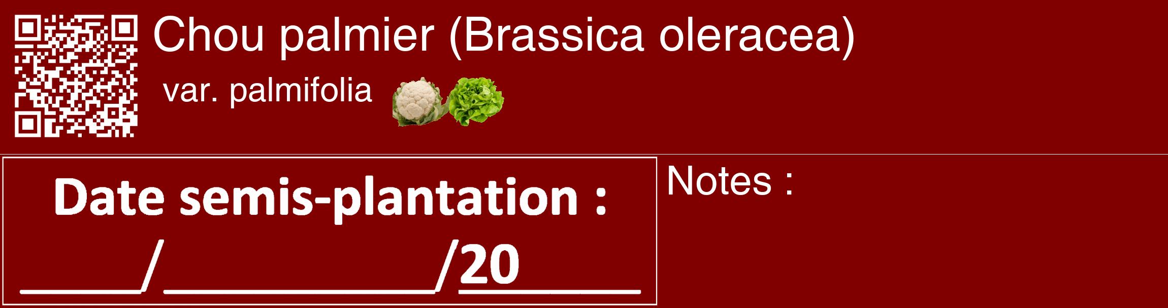 Étiquette de : Brassica oleracea var. palmifolia - format c - style blanche29_basique_basiquehel avec qrcode et comestibilité simplifiée