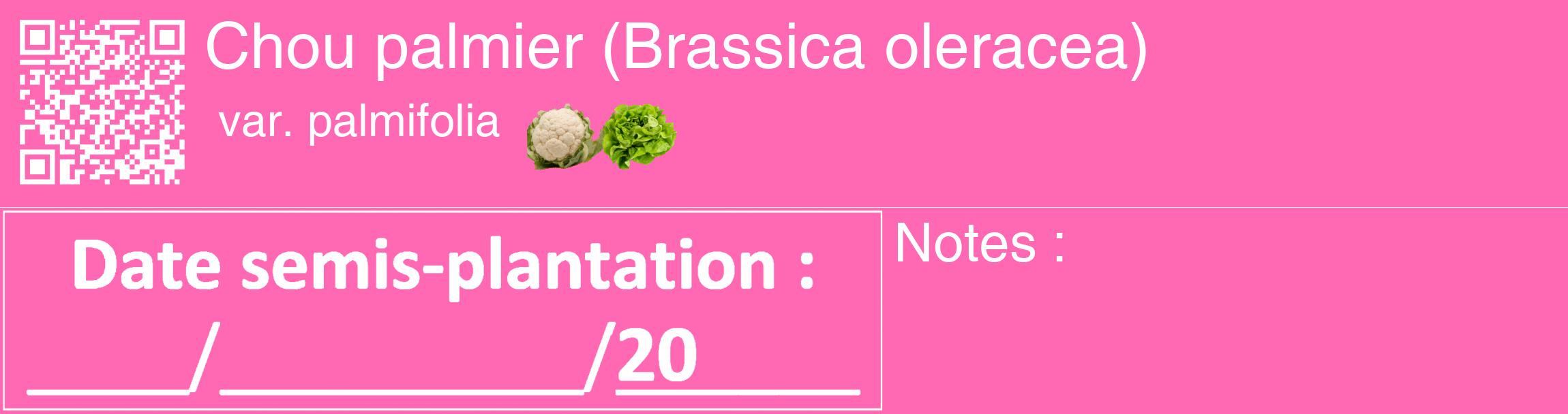 Étiquette de : Brassica oleracea var. palmifolia - format c - style blanche42_basique_basiquehel avec qrcode et comestibilité simplifiée