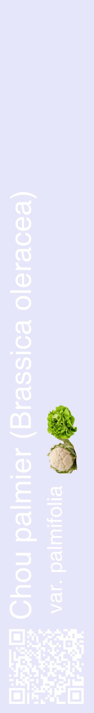 Étiquette de : Brassica oleracea var. palmifolia - format c - style blanche55_basiquehel avec qrcode et comestibilité simplifiée
