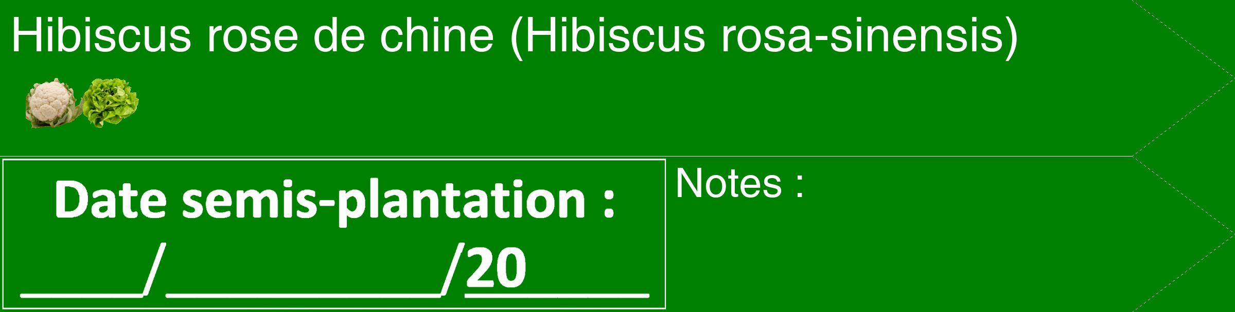 Étiquette de : Hibiscus rosa-sinensis - format c - style blanche9_simple_simplehel avec comestibilité simplifiée