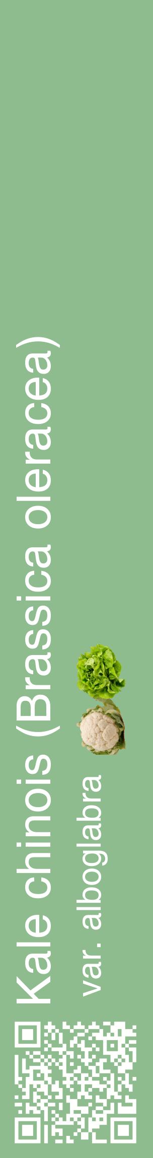 Étiquette de : Brassica oleracea var. alboglabra - format c - style blanche13_basiquehel avec qrcode et comestibilité simplifiée