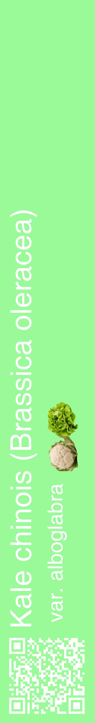 Étiquette de : Brassica oleracea var. alboglabra - format c - style blanche14_basiquehel avec qrcode et comestibilité simplifiée