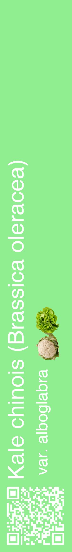 Étiquette de : Brassica oleracea var. alboglabra - format c - style blanche15_basiquehel avec qrcode et comestibilité simplifiée