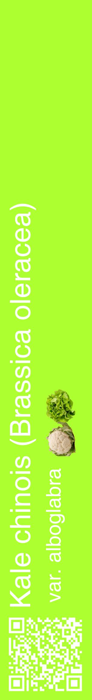 Étiquette de : Brassica oleracea var. alboglabra - format c - style blanche17_basiquehel avec qrcode et comestibilité simplifiée