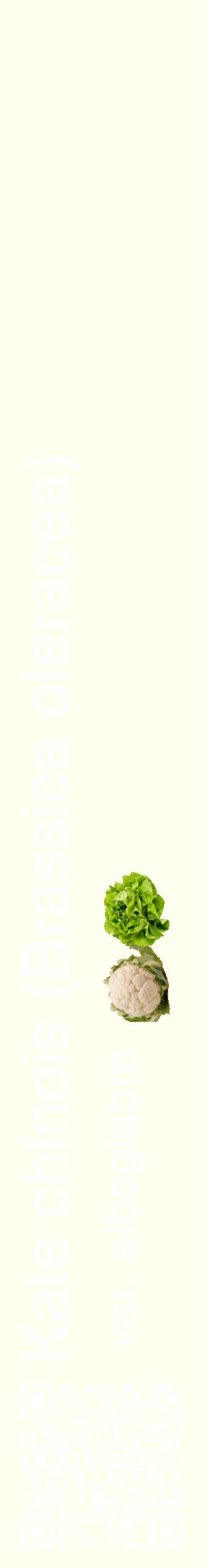 Étiquette de : Brassica oleracea var. alboglabra - format c - style blanche19_basiquehel avec qrcode et comestibilité simplifiée