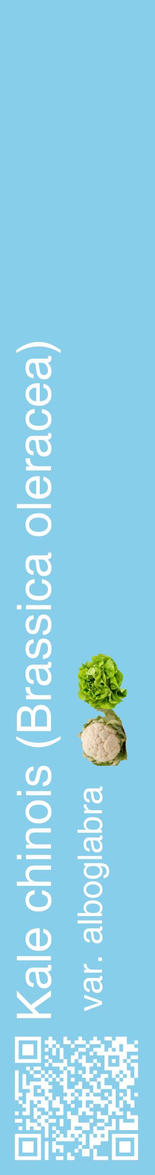 Étiquette de : Brassica oleracea var. alboglabra - format c - style blanche1_basiquehel avec qrcode et comestibilité simplifiée