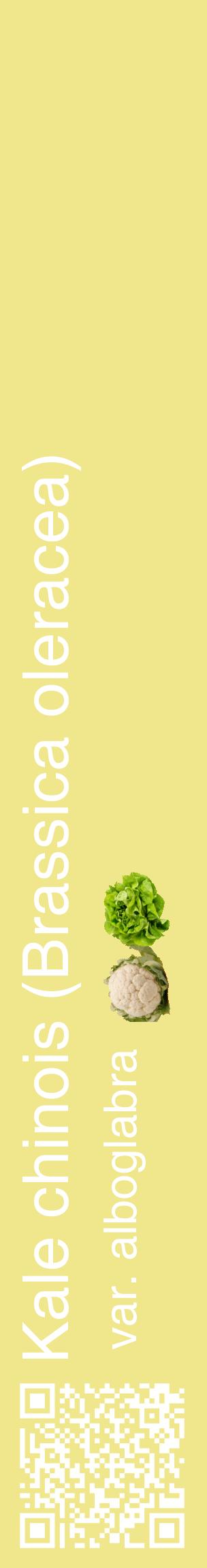 Étiquette de : Brassica oleracea var. alboglabra - format c - style blanche20_basiquehel avec qrcode et comestibilité simplifiée