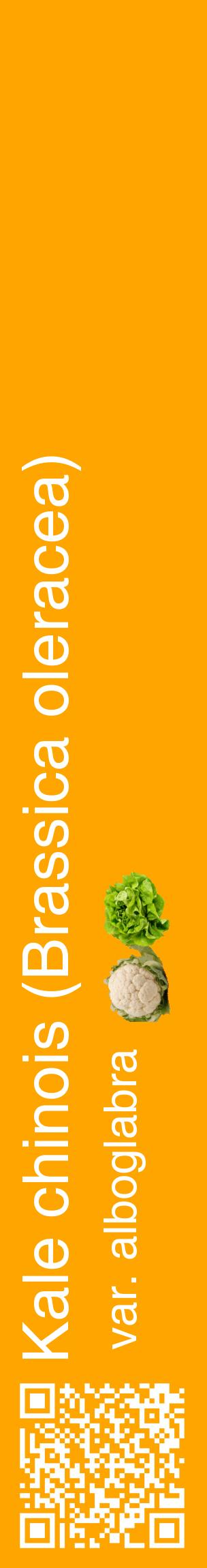 Étiquette de : Brassica oleracea var. alboglabra - format c - style blanche22_basiquehel avec qrcode et comestibilité simplifiée