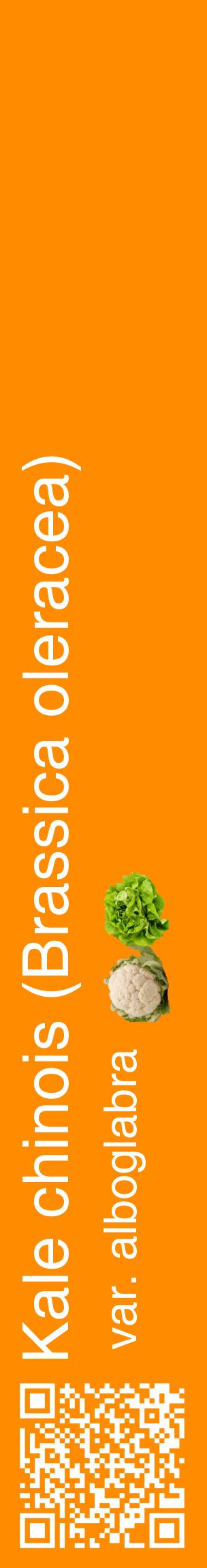Étiquette de : Brassica oleracea var. alboglabra - format c - style blanche23_basiquehel avec qrcode et comestibilité simplifiée