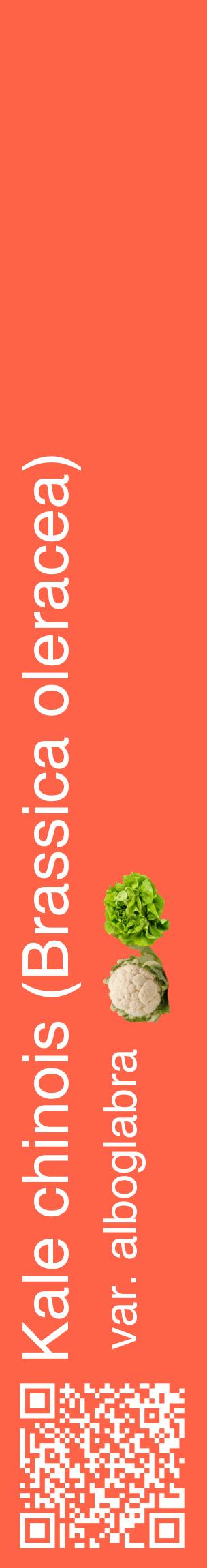 Étiquette de : Brassica oleracea var. alboglabra - format c - style blanche25_basiquehel avec qrcode et comestibilité simplifiée
