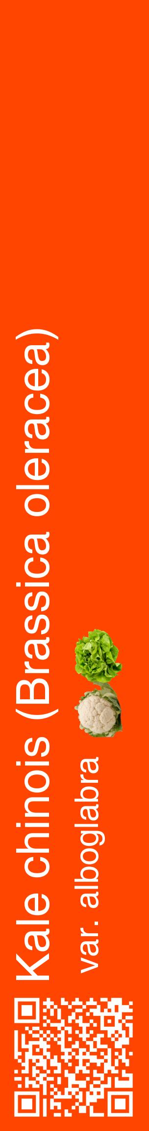 Étiquette de : Brassica oleracea var. alboglabra - format c - style blanche26_basiquehel avec qrcode et comestibilité simplifiée