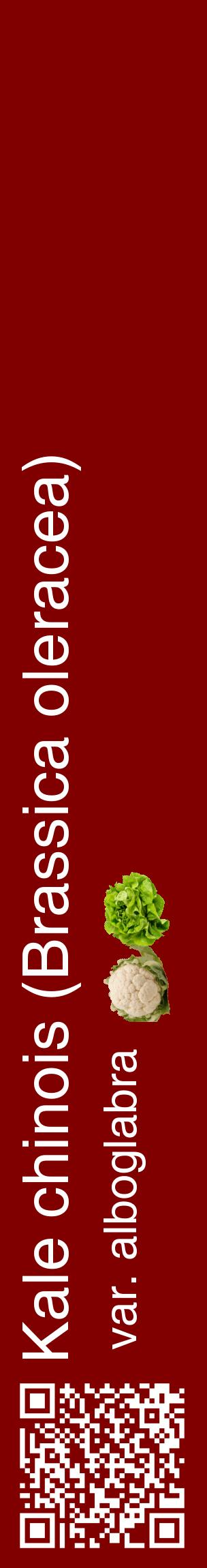Étiquette de : Brassica oleracea var. alboglabra - format c - style blanche29_basiquehel avec qrcode et comestibilité simplifiée