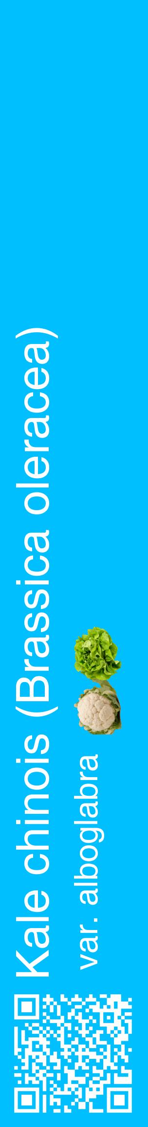 Étiquette de : Brassica oleracea var. alboglabra - format c - style blanche2_basiquehel avec qrcode et comestibilité simplifiée