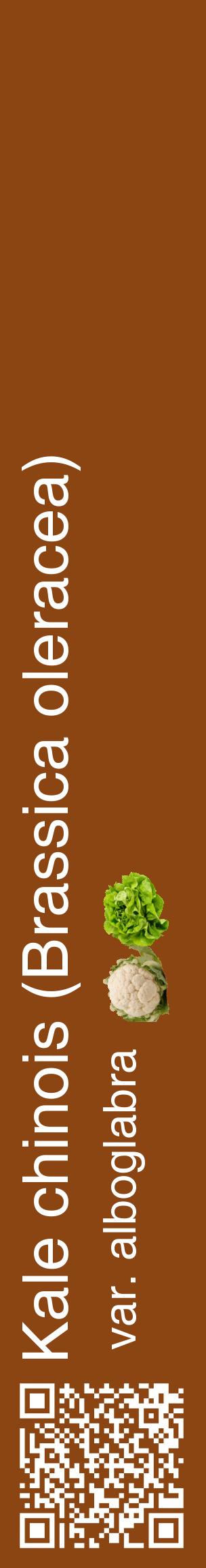 Étiquette de : Brassica oleracea var. alboglabra - format c - style blanche30_basiquehel avec qrcode et comestibilité simplifiée