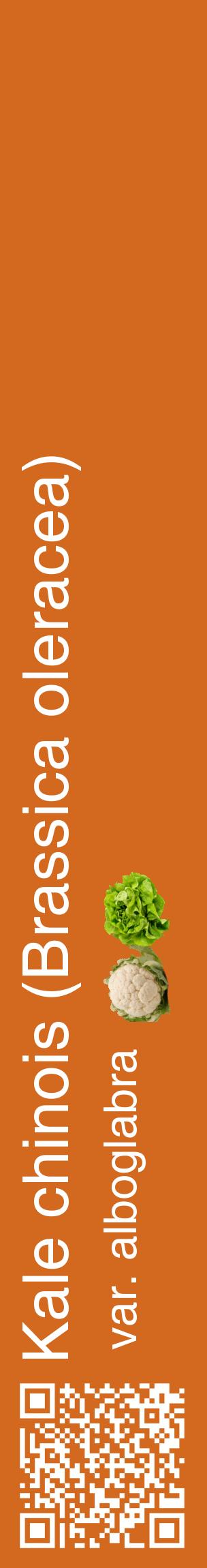 Étiquette de : Brassica oleracea var. alboglabra - format c - style blanche31_basiquehel avec qrcode et comestibilité simplifiée